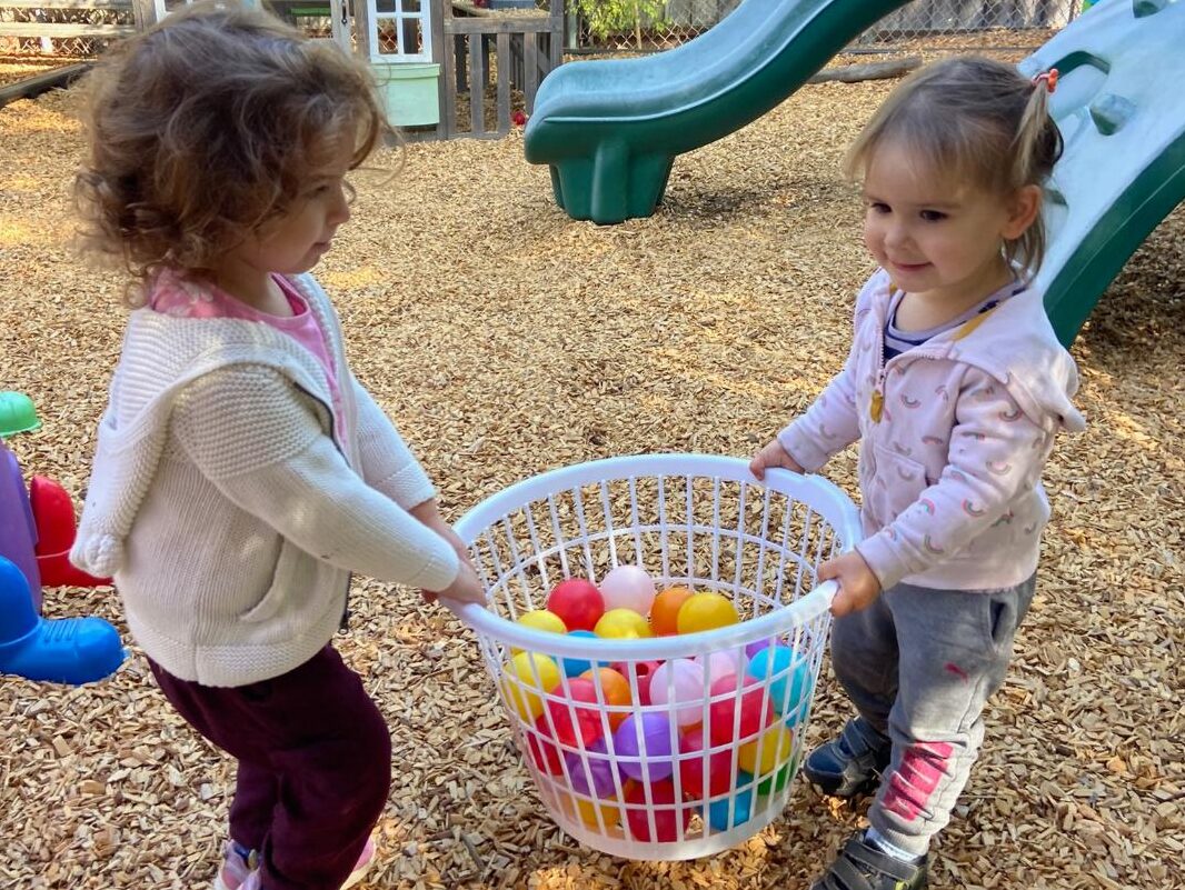 Two toddlers carrying a basket of balls together