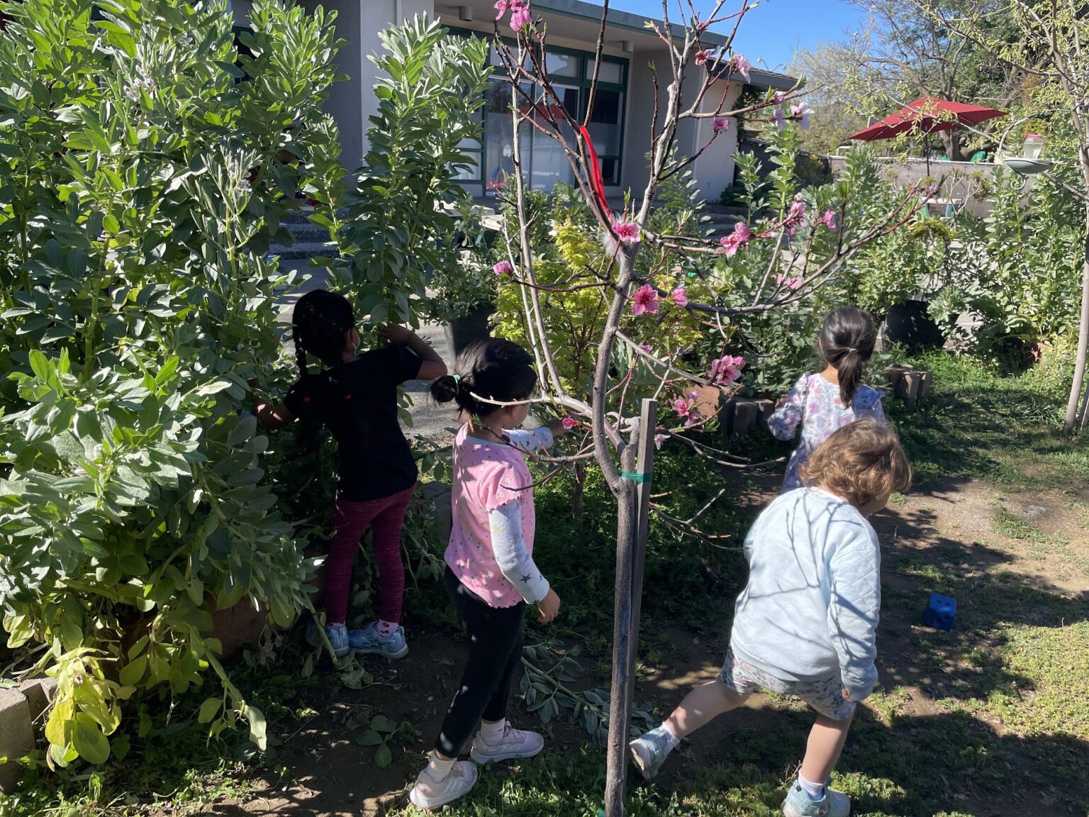 Nature & Outdoor Exploration at Early Childhood Learning Academy