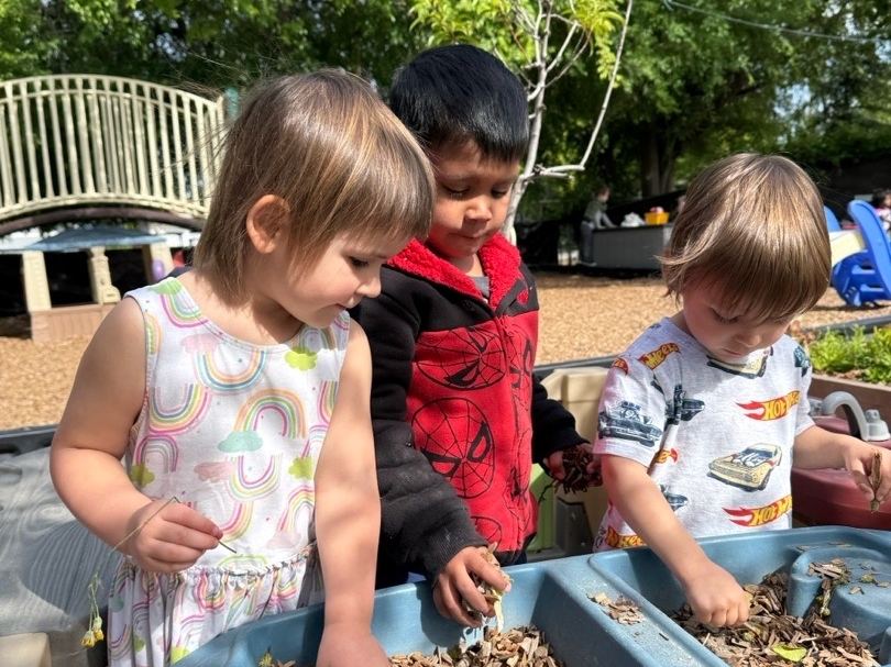 Children exploring a nature sensory bin outdoors