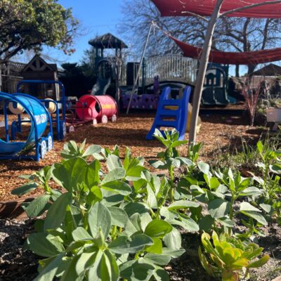 The garden beside the ECLA playground